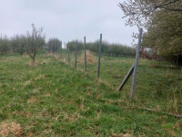 Prodej pozemků v Polomi