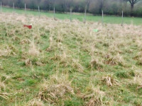 Prodej pozemku v Polomi