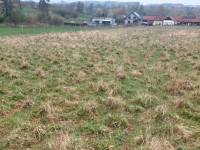 Prodej stavebních pozemků v Polomi