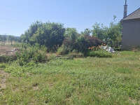 Prodej RD 4+1 v Třeštině