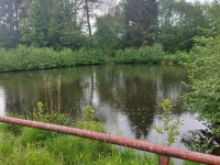 Prodej apartmánů s rybníkem v Písařově, Bukovice