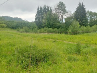 Prodej apartmánů s rybníkem v Písařově, Bukovice