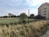 Prodej komerčního objektu s pozemky v Uničově