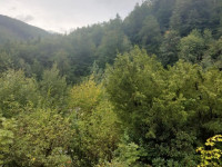 Prodej chaty 2+1 v Hlubočkách, Hrubá Voda