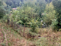 Prodej chaty 2+1 v Hlubočkách, Hrubá Voda