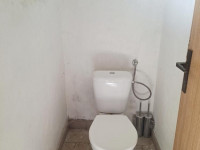 Prodej zemědělské usedlosti v Loučanech