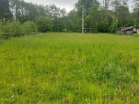 Prodej RD 4+1 a 4+1 s komerčním prostorem v Písařově, Bukovice