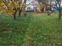 Prodej pozemku v Olomouci, Týneček