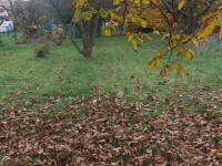 Prodej pozemku v Olomouci, Týneček