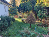 Prodej chalupy 4+1 v Huzové, Arnoltice