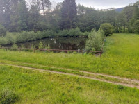 Prodej nájemního domu s restaurací v Písařově, Bukovice