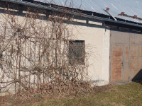 Prodej zemědělské usedlosti v Moravském Berouně