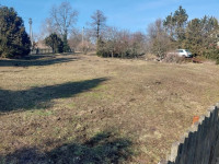 Prodej zemědělské usedlosti v Moravském Berouně