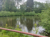 Pronájen penzionu s rybníkem v Písařově, Bukovice