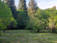 Prodej zemědělské usedlosti s pozemky v Plumlově, Hamry