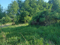 Prodej zemědělské usedlosti s pozemky v Plumlově, Hamry
