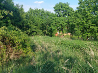 Prodej RD v Plumlově, Hamry
