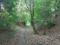 Prodej RD v Plumlově, Hamry