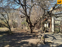Prodej RD ve Šternberku