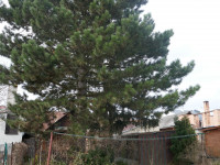 Prodej RD 3+1 ve Slatinicích, Lípy