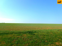 Prodej pozemku v Kožušanech - Tážalech, Kožušanech