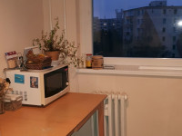 Prodej bytu 2+1 v Olomouci, Lazce